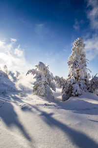 Snow covered mountain against sky