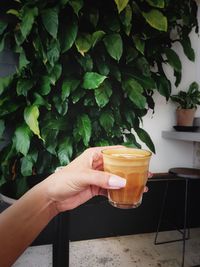 Close-up of hand holding drink
