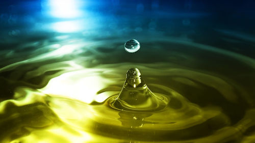 Close-up of water drop