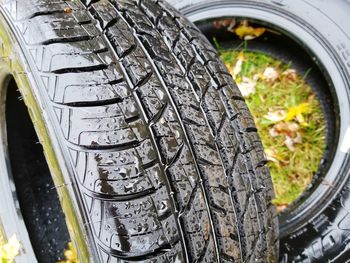 Close-up of wet plants in car