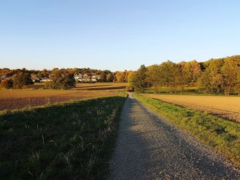 Road amidst trees on field against clear sky