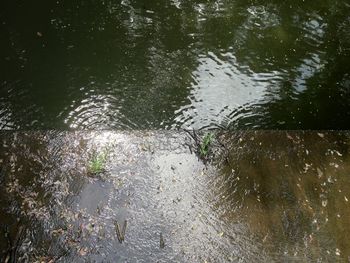Close-up of water drops on glass