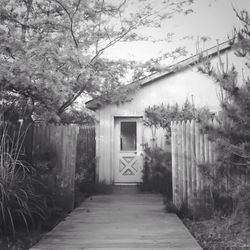 Walkway along trees