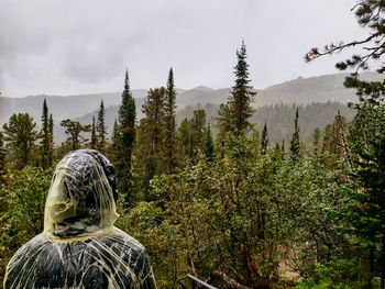 Rear view of people in forest against sky