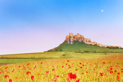 Scenic view of land against clear sky