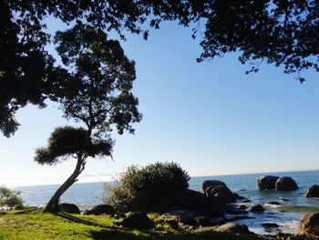 Scenic view of sea against clear sky