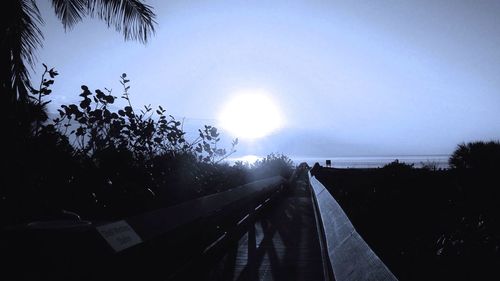 Sun shining through trees