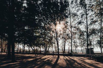 Silhouette trees by road against sky