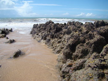 Scenic view of beach against sky