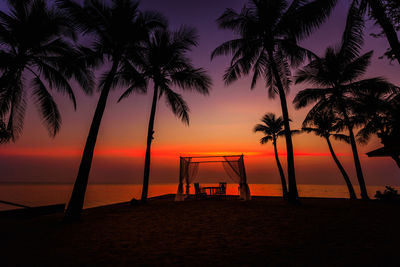 Silhouette palm trees on beach against sky during sunset