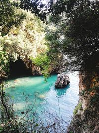 High angle view of rocks in water