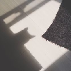 Shadow of person on wall