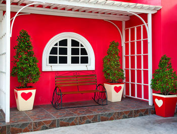 Potted plants on window of building