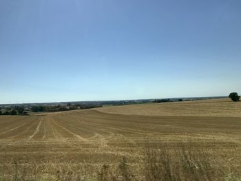 Scenic view of agricultural field against clear blue sky