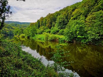 Scenic view of lake in forest against sky