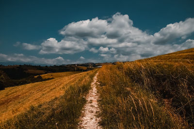 Scenic view of field against sky