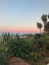 Scenic view of sea against clear sky during sunset