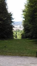 View of trees on landscape