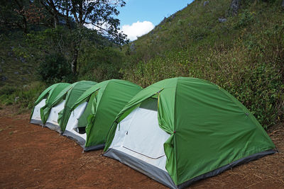 Green camping tents among natural landscape of green forest park