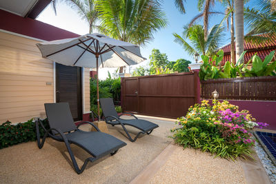 Potted plants by swimming pool against building