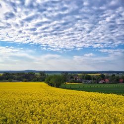 Scenic view of field against cloudy sky