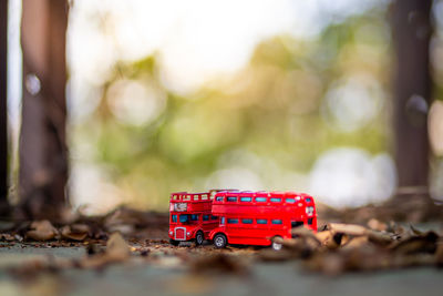 Close-up of toy car