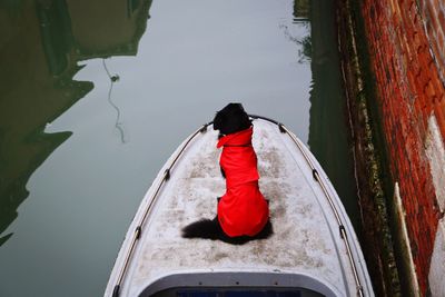 High angle view of dog sitting on boat moored in canal