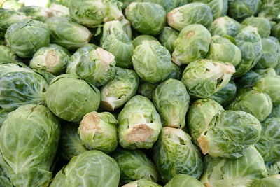 Full frame shot of green vegetables