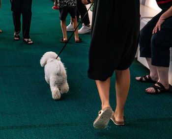 Low section of people with dog standing on floor