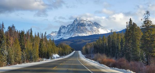 Road amidst trees and snowcapped mountains against sky