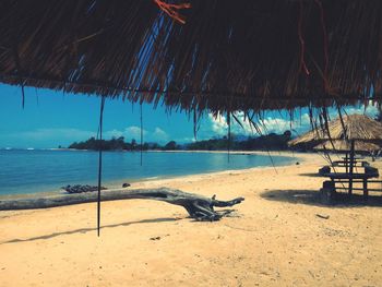 View of driftwood on beach against sky