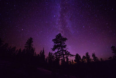 Low angle view of silhouette trees against sky at night