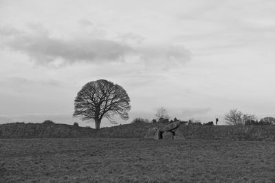 Horse on field against sky