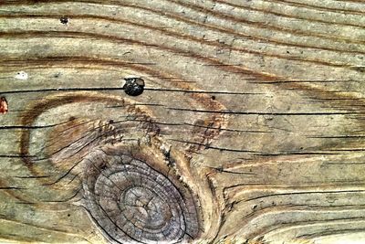 wood - material
