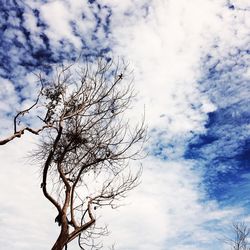 Low angle view of bare tree against cloudy sky