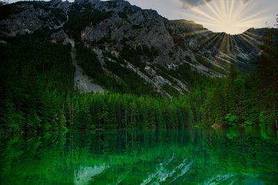 Scenic view of lake by trees in forest