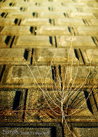 Close-up of old building