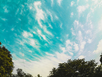 Low angle view of tree against sky