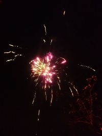 Low angle view of firework display at night