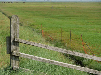 Hallig hooge in the north sea