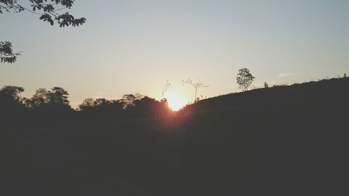 Silhouette of trees at sunset