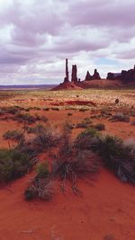 View of sand dunes in a desert