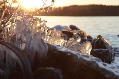 Close-up of rocks by sea against sky during sunset