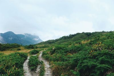 Scenic view of landscape against sky