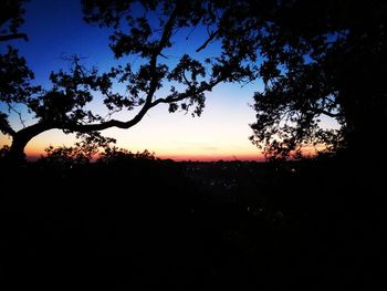 Silhouette trees against clear sky during sunset