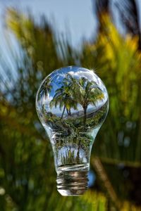 Close-up of glass against trees