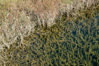 Full frame shot of water