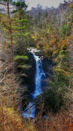 Stream flowing through a forest