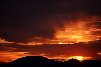 Silhouette of trees at sunset