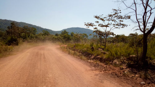 Dirt road amidst plants and trees against sky